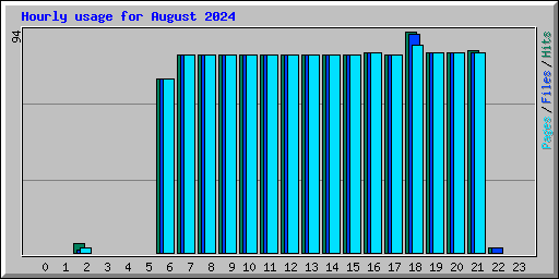 Hourly usage for August 2024